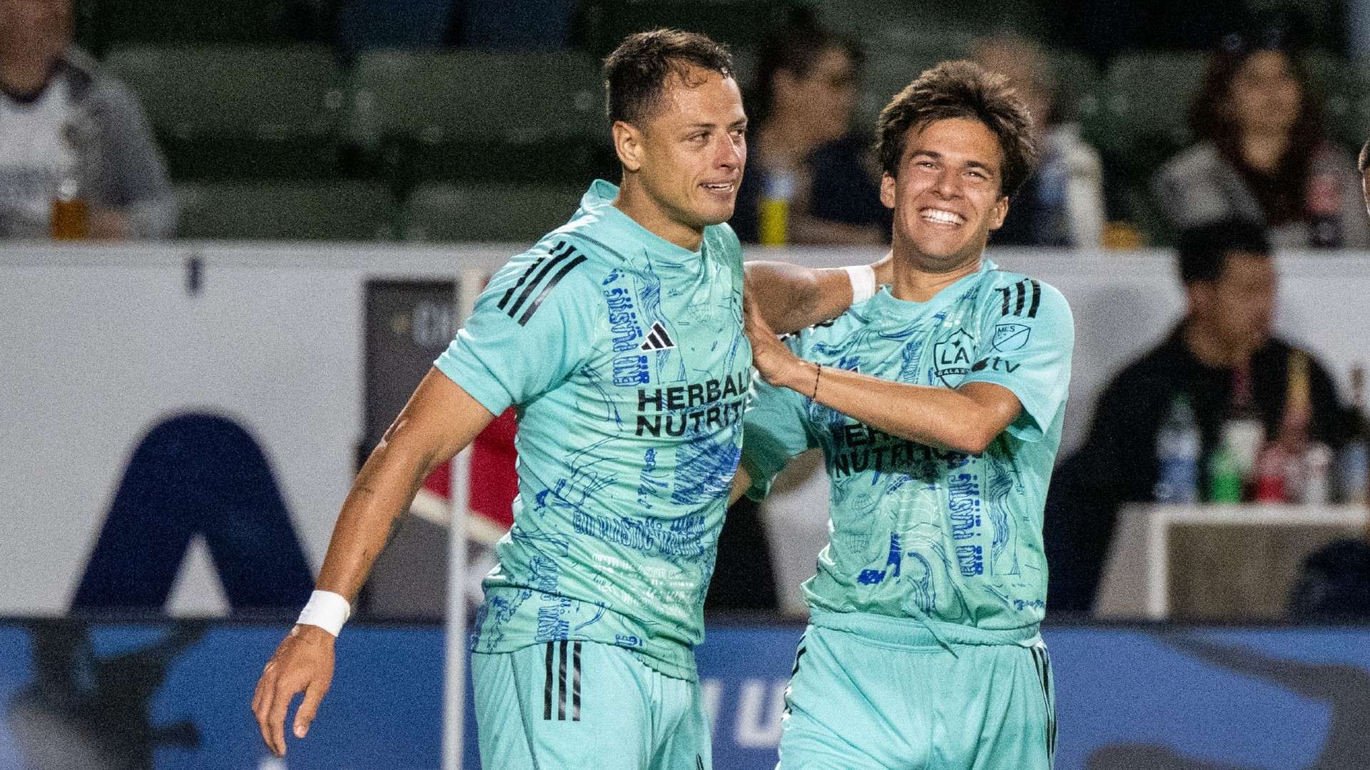 置极佳的前 置极佳的前