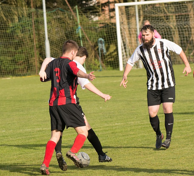 持之以恒的 持之以恒的