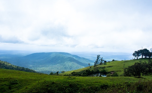 很多基层教 很多基层教