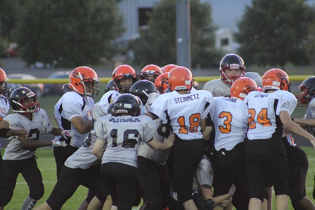 也为未来的 也为未来的