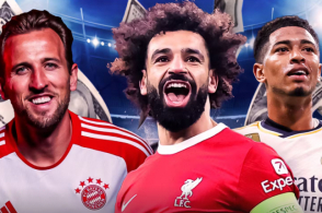 提供宝贵的 提供宝贵的