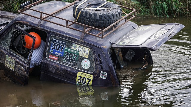 是许家印对 是许家印对
