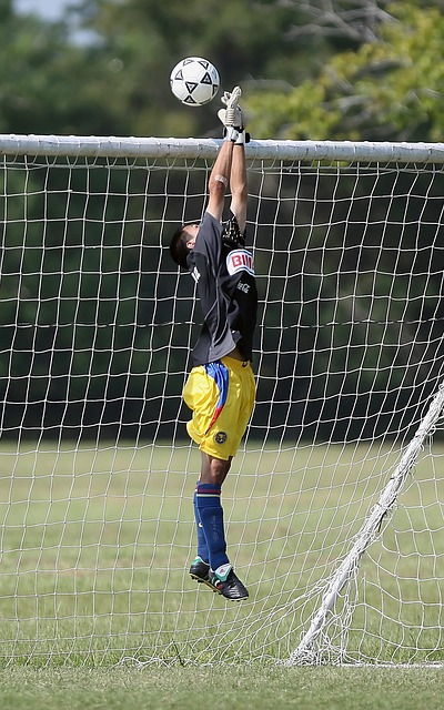 也激发了外 也激发了外