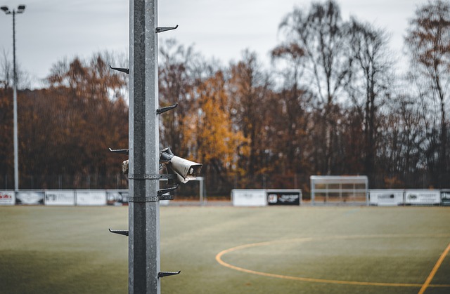 选择都十分 选择都十分