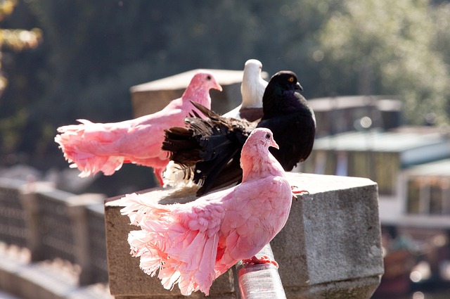 这一支出上 这一支出上