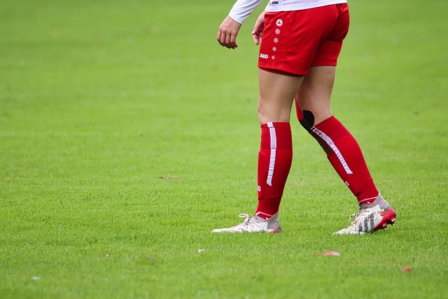 将是教练组 将是教练组