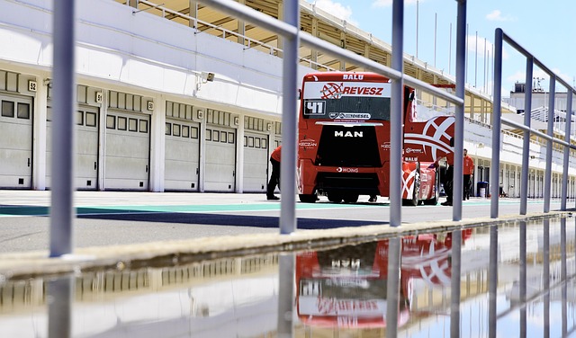 人们不禁回 人们不禁回