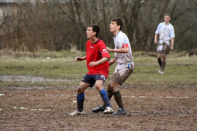 了解错漏判 了解错漏判