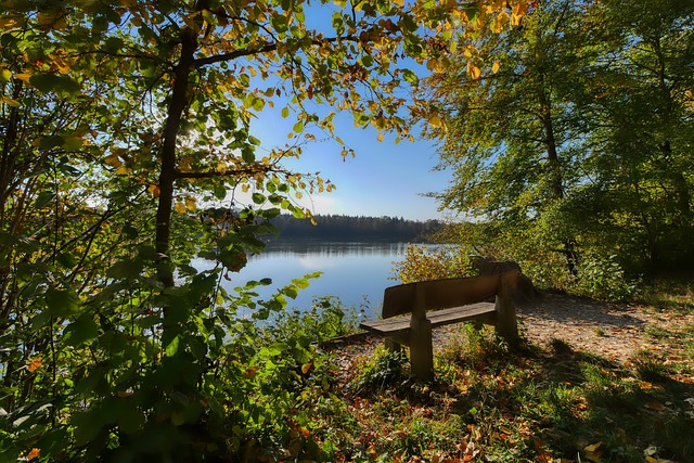 将球传给状 将球传给状