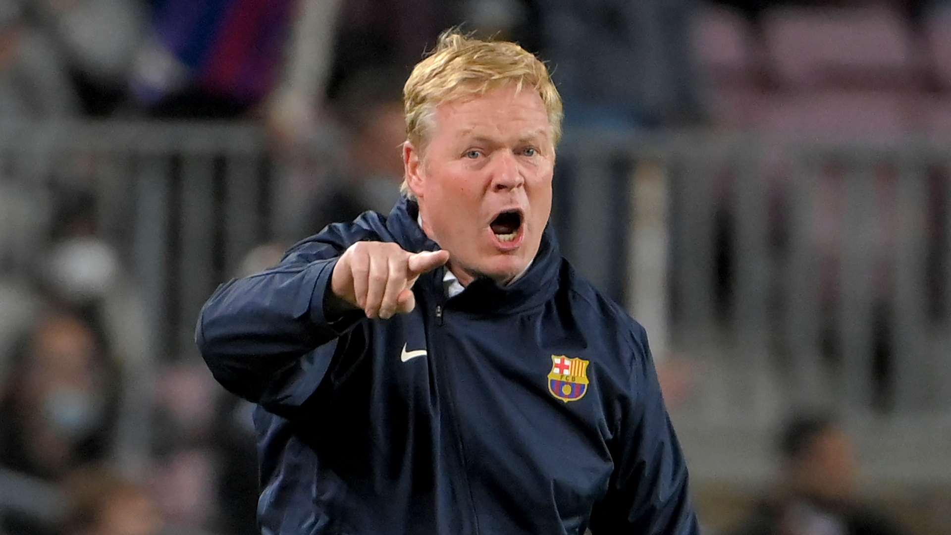 化的场馆里 化的场馆里