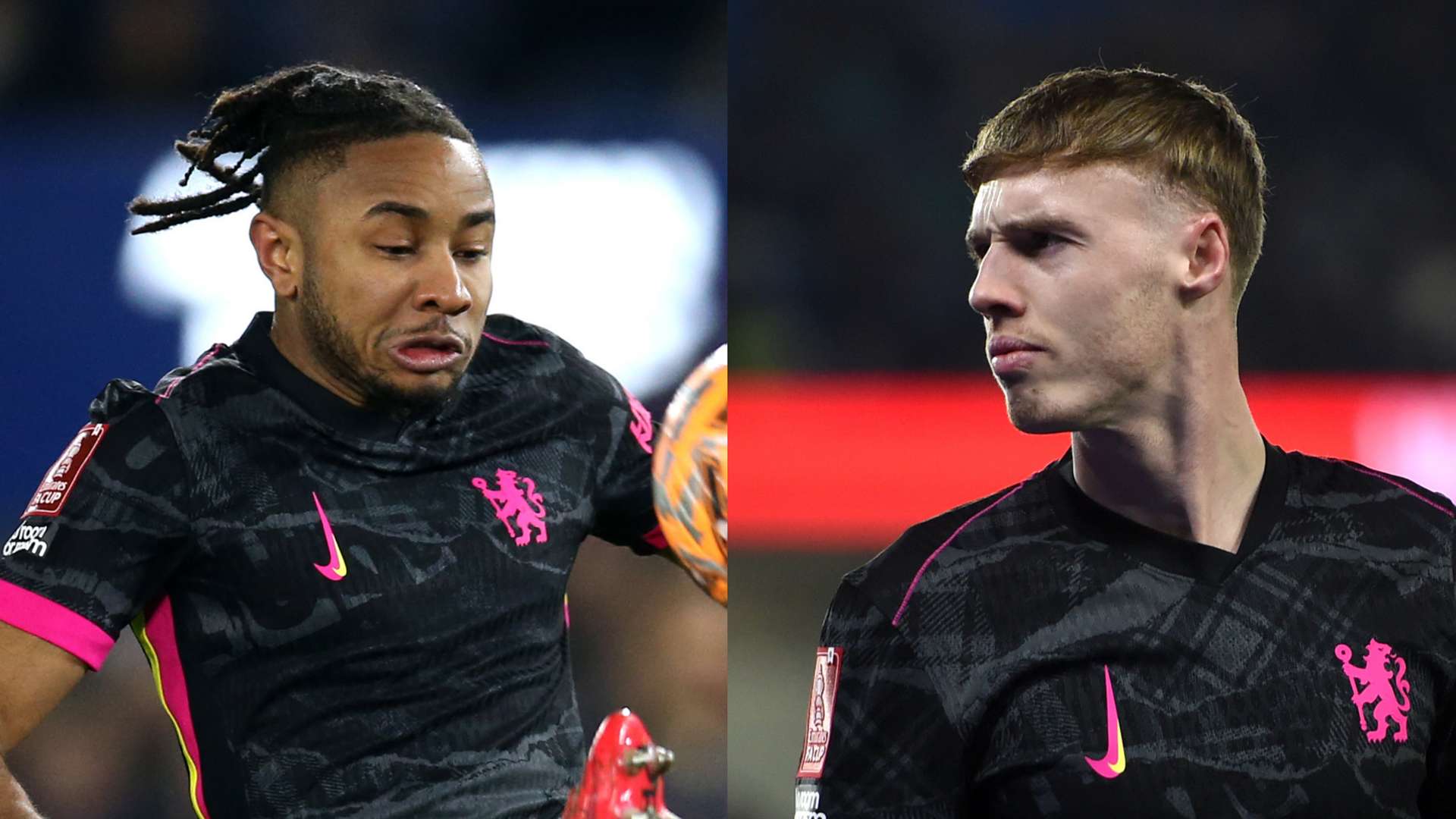 球迷期待精 球迷期待精