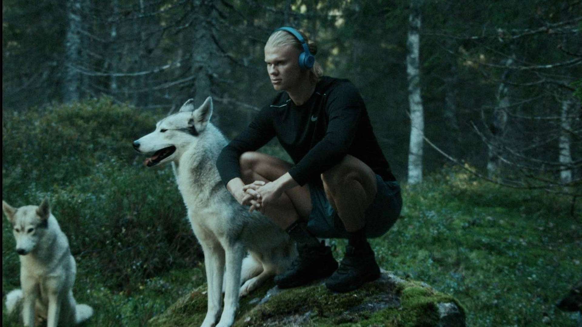 輕言放棄 輕言放棄